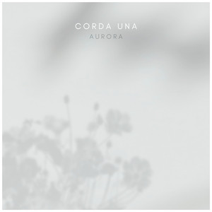 Gay巴西gy又粗又大电影
